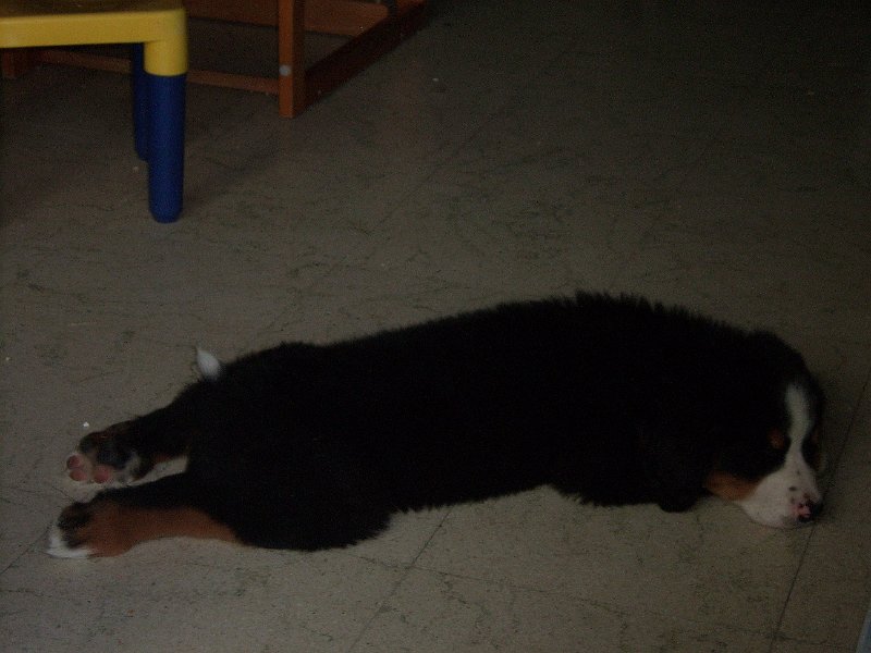 DSCI0100.JPG
