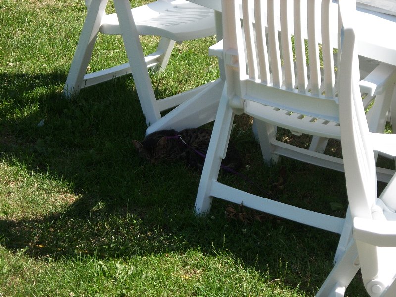 DSCI0107.JPG